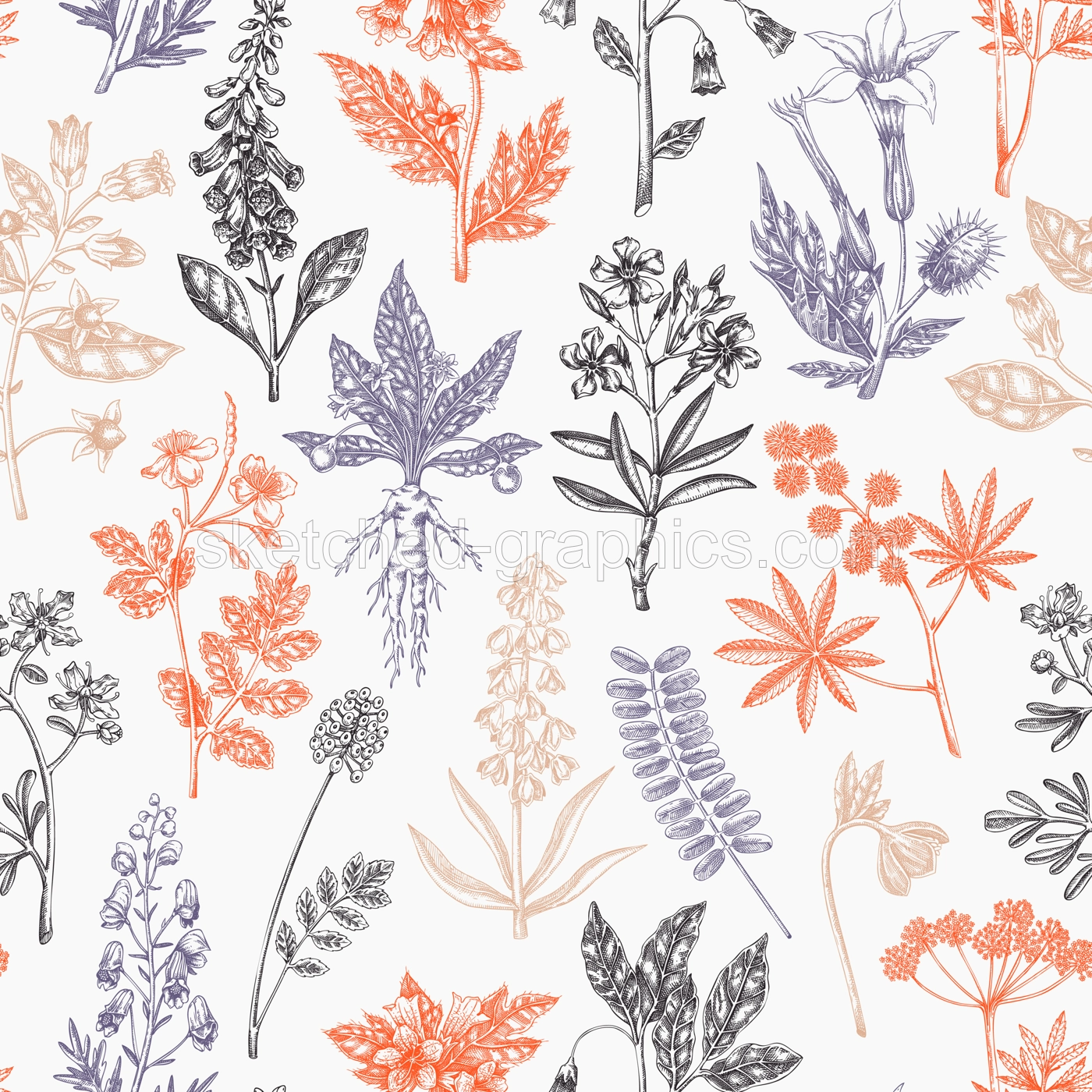 Witch herbs seamless pattern. Poisonous plants background. Apothecary herbs hand-drawn vector illustration. Bohemian design. NOT AI generated Illustration